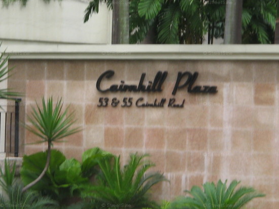 Cairnhill Plaza (D9), Apartment #983212